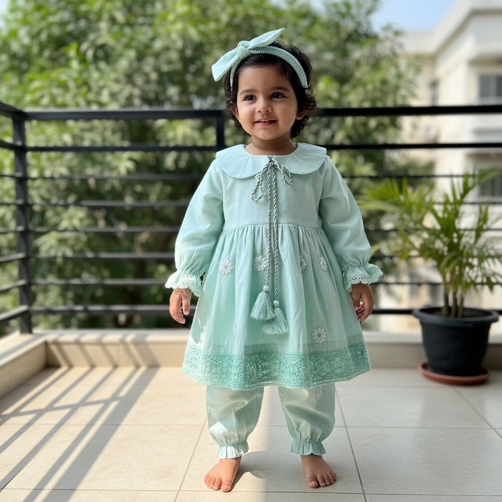 Baby girls full sleeve frock BG-1452